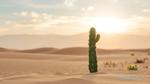 Exploring Themes in Insignificant Events Cactus