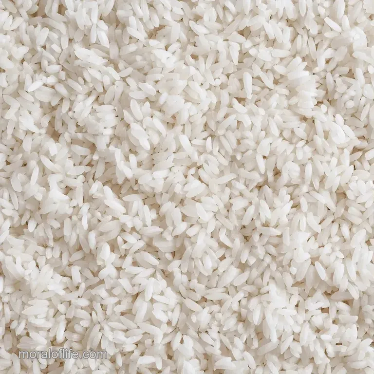 Perfectly molded dome of creamy white rice on a dark slate plate, garnished with a fresh green sprig and sesame seeds.